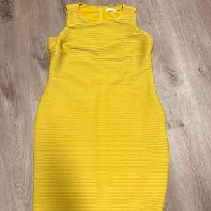 Calvin Klein Sheath Size XL